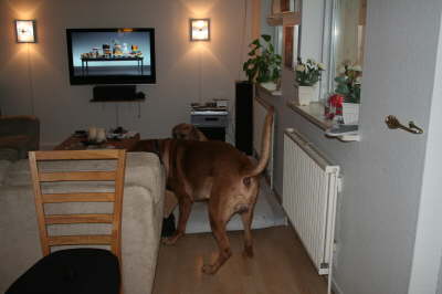 Besg hos Aslan 210112 074