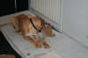 Besg hos Aslan 210112 076