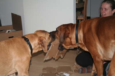 Besg hos Aslan 210112 080