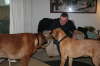 Besg hos Aslan 210112 082