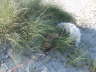 DSC00346
