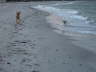 DSC00809