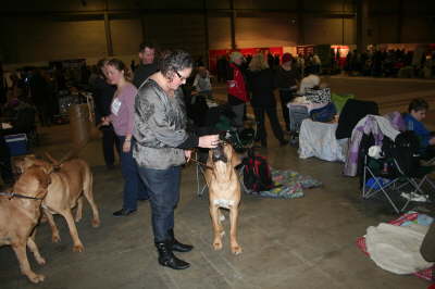 Fredericia 2012 004