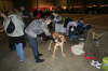 Fredericia 2012 005