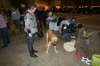 Fredericia 2012 006