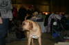 Fredericia 2012 007