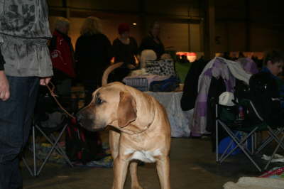 Fredericia 2012 007