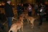 Fredericia 2012 008
