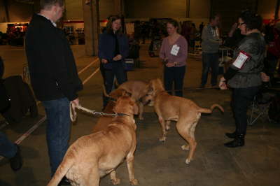 Fredericia 2012 008