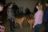 Fredericia 2012 009