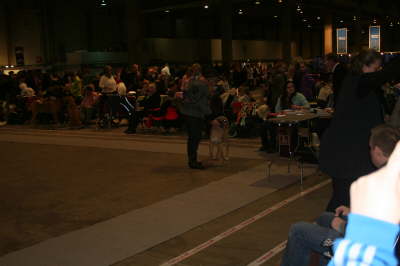 Fredericia 2012 023