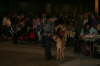 Fredericia 2012 026