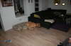 Humle og Smilla 033