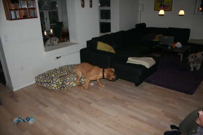 Humle og Smilla 033