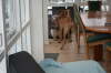 Humles frste sne 028