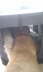 IMAG0164