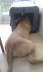 IMAG0165