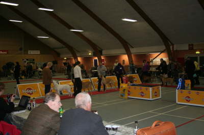 Skue 055
