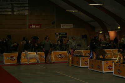 Skue 058