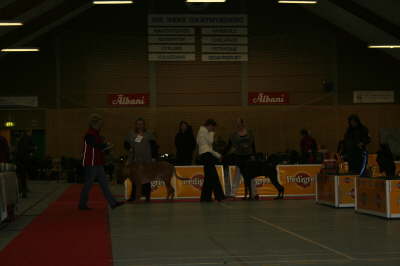 Skue 064