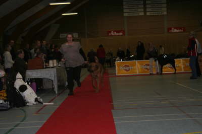 Skue 065
