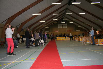 Skue 068