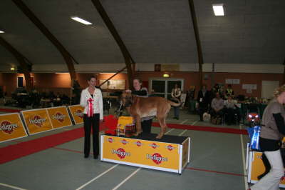 Skue 070