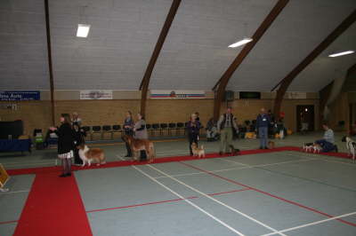 Skue 078