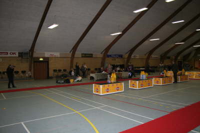 Skue 080