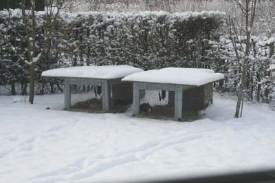 Vinterbilleder 067